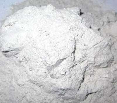 �o�C������̼���}�����푪��